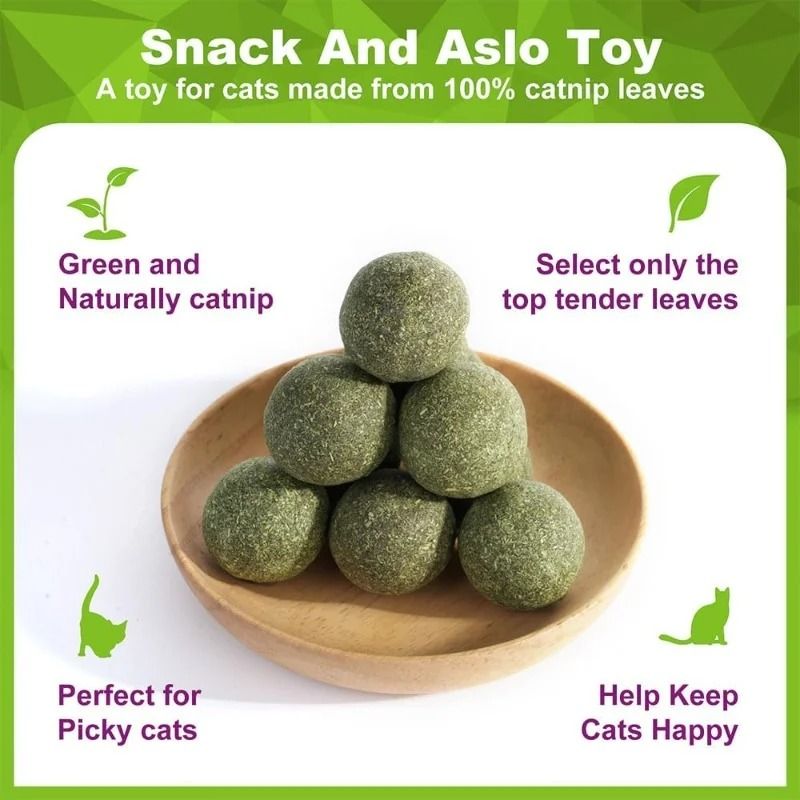 Natural Catnip Licker Ball Toy Set For Cats 1