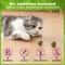 Natural Catnip Licker Ball Toy Set For Cats 2