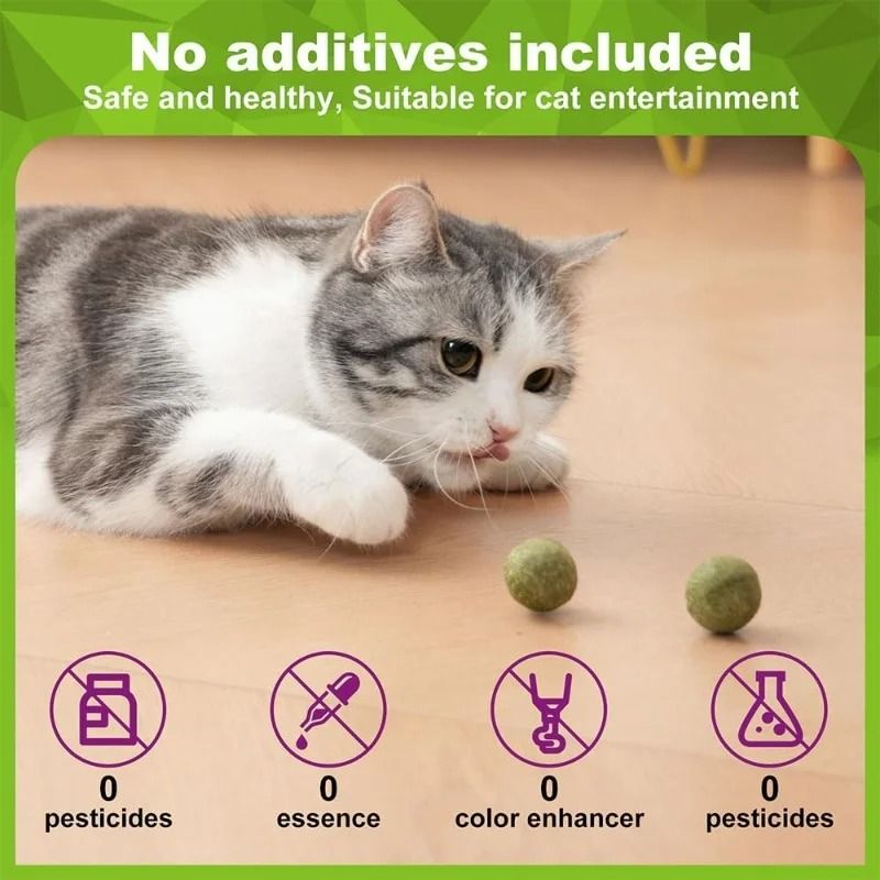 Natural Catnip Licker Ball Toy Set For Cats 2