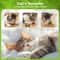 Natural Catnip Licker Ball Toy Set For Cats 4