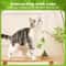 Natural Catnip Licker Ball Toy Set For Cats 5