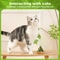 Natural Catnip Licker Ball Toy Set For Cats 5