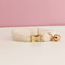 Personalized Custom Engraved Teddy Cat Collar With Name Plate 6