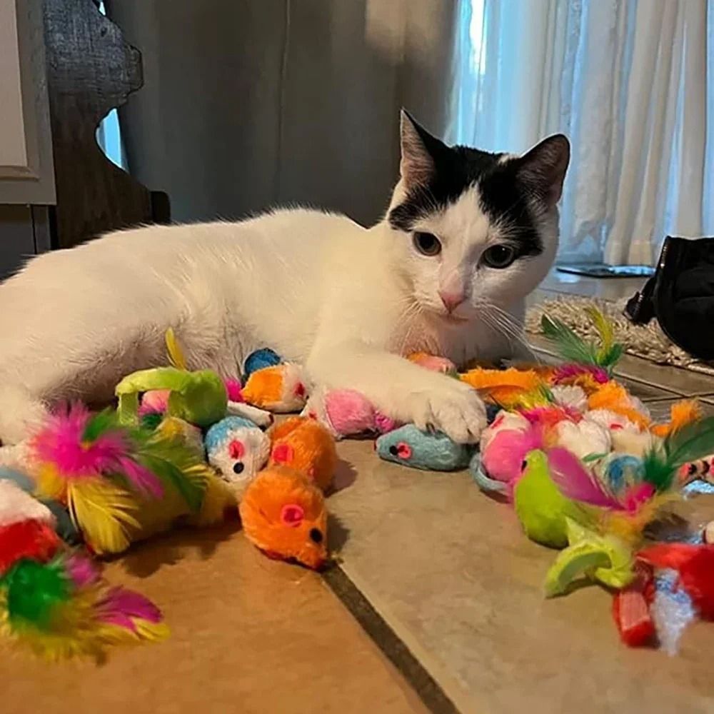 Interactive Rattle Plush Mouse Cat Toy With Catnip 5
