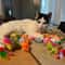 Interactive Rattle Plush Mouse Cat Toy With Catnip 5