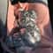 Winter Warm Sphynx Cat Jumpsuit Overalls 1