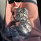 Winter Warm Sphynx Cat Jumpsuit Overalls 1