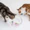 Pet Cat Toy LED Interactive Swimming Robot Fish Toy 5