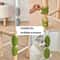 Pet Cat Hair Removal Massage Comb And Corner Self Grooming Rubbing Brush 2