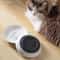 Premium Ceramic Feeding Bowl Platter With NonSlip Silicone Base For Kittens And Cats 1