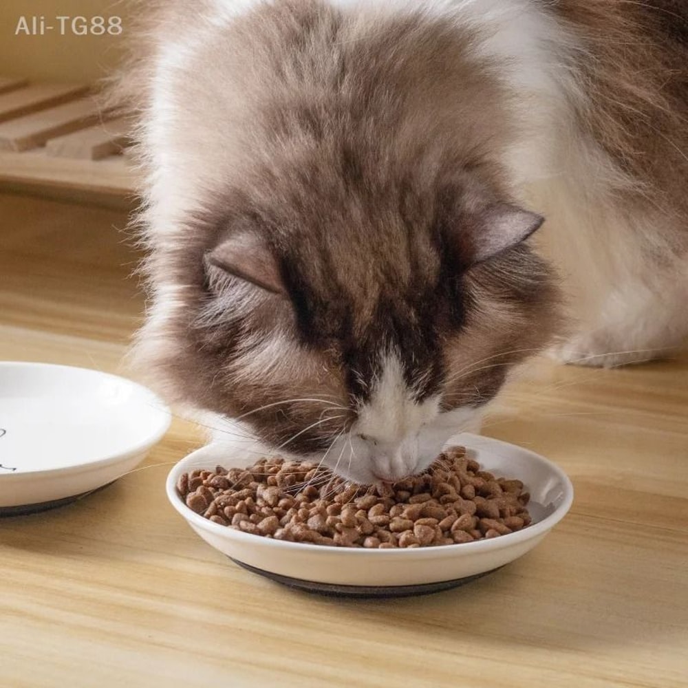 Premium Ceramic Feeding Bowl Platter With NonSlip Silicone Base For Kittens And Cats 3