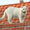 HeavyDuty Nylon Pet Safety Netting For Balconies Windows And Safety Railings 2