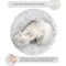 Winter Heated Constant Temperature Round Pet Bed USB Electric Thermal Mat For Cats And Small Dogs 2