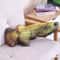 Interactive Pet Plush Simulated Fish Catnip Toy And Throw Pillow For Cats And Kittens 10