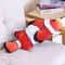Interactive Pet Plush Simulated Fish Catnip Toy And Throw Pillow For Cats And Kittens 14