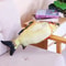 Interactive Pet Plush Simulated Fish Catnip Toy And Throw Pillow For Cats And Kittens 6