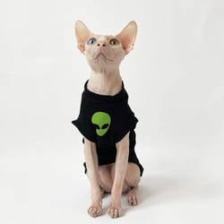 fashion black striped cotton winter t-shirt and coat for sphynx and devon rex cats