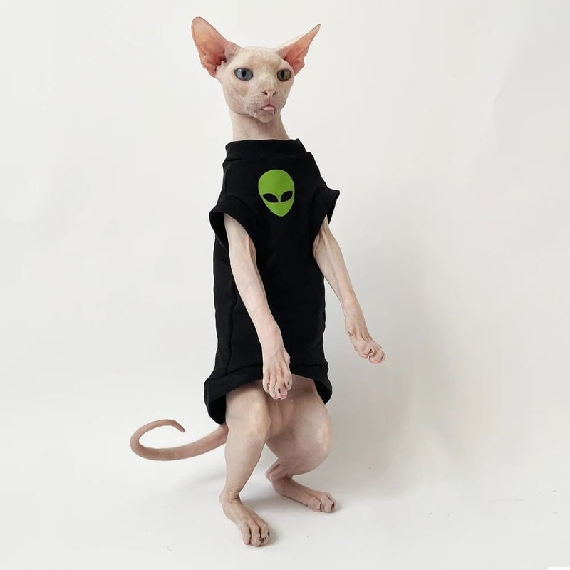 Fashion Black Striped Cotton Winter TShirt And Coat For Sphynx And Devon Rex Cats 1