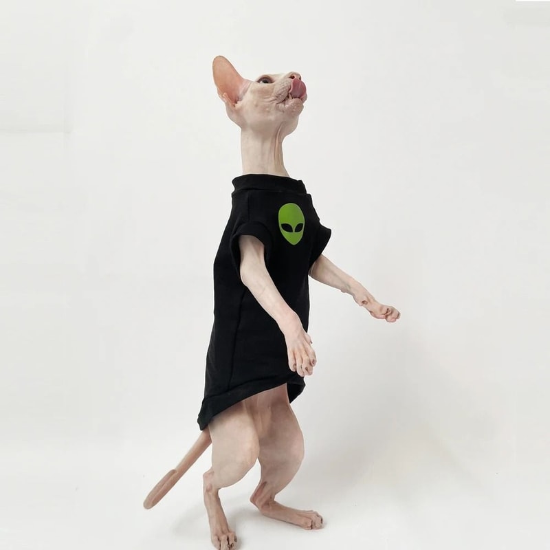 Fashion Black Striped Cotton Winter TShirt And Coat For Sphynx And Devon Rex Cats 3