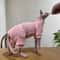 Warm Soft Fleece 4Legged Jumpsuit Sweatshirt Coat For Sphynx And Devon Rex Cats 11