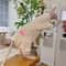 Warm Soft Fleece 4Legged Jumpsuit Sweatshirt Coat For Sphynx And Devon Rex Cats 2