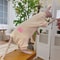 Warm Soft Fleece 4Legged Jumpsuit Sweatshirt Coat For Sphynx And Devon Rex Cats 2