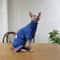 Warm Soft Fleece 4Legged Jumpsuit Sweatshirt Coat For Sphynx And Devon Rex Cats 8