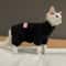 Warm Soft Fleece 4Legged Jumpsuit Sweatshirt Coat For Sphynx And Devon Rex Cats 15