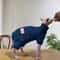 Warm Soft Fleece 4Legged Jumpsuit Sweatshirt Coat For Sphynx And Devon Rex Cats 19