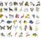 Brother Machine Embroidery Designs Collection Download Embroidery Files In PES Also Compatible With 11