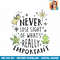 Disney The Princess & The Frog Never Lose Sight Text PNG Download.jpg