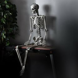 life-size realistic full body hanging halloween skeleton, feet halloween skeleton decor