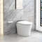 Elongated Smart Toilet with Bidet, 1.16 GPF, Adjustable Heated Seat & Warm Air Dryer