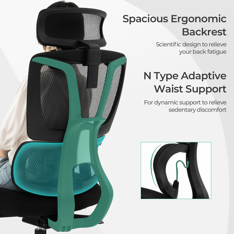 Ergonomic Office Chair With N Type Lumbar Support And Adjustable Headrest Breathable Mesh Executive 3