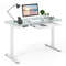 Height Adjustable Electric Standing Desk with Drawer, Glass Top, Charging, Sit Stand Home Office Computer Workstation