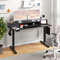 55 Inch x 24 Inch Height Adjustable Electric Standing Desk with 2 Drawers – Spacious Ergonomic Workstation