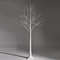5-Foot Pre-Lit White Twig Birch Tree with 72 Warm White LED Lights for Christmas