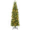 6ft Pre-Lit Artificial Christmas Pencil Tree with 648 PVC & PE Branch Tips, Slim LED Holiday Decor