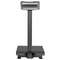 660 lbs Weight Platform Scale Digital Floor Folding Scale