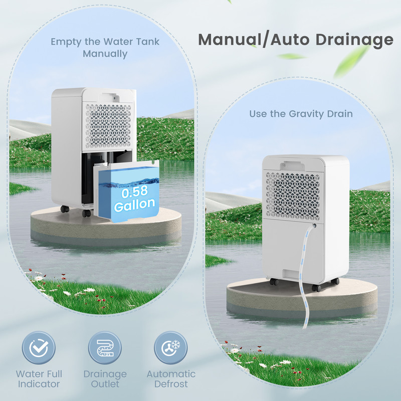 32 Pints Dehumidifier for Home & Basement – Sleep Mode, 24H Timer, 2000 Sq. Ft Coverage