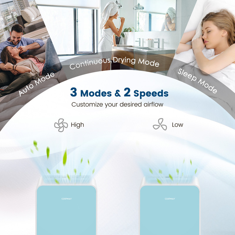 32 Pints/Day Portable Quiet Dehumidifier for Rooms up to 2500 Sq. Ft, Compact & Energy-Efficient Moisture Remover