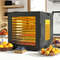 10 Stainless Steel Trays Dryer With 10 Presets 4Sided Viewing Window Food Dehydrator With LED 360 0