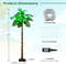 6 FT LED Lighted Artificial Palm Tree, Hawaiian Style Tropical Decor with Water Bag & Coconut Accents
