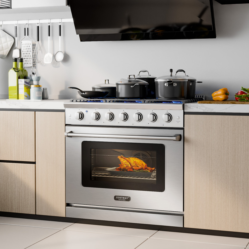 Professional Natural Gas Range With HighPowered Burners And Oven Freestanding Dual Fuel Stove For H 6