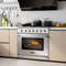 Professional Natural Gas Range With HighPowered Burners And Oven Freestanding Dual Fuel Stove For H 6