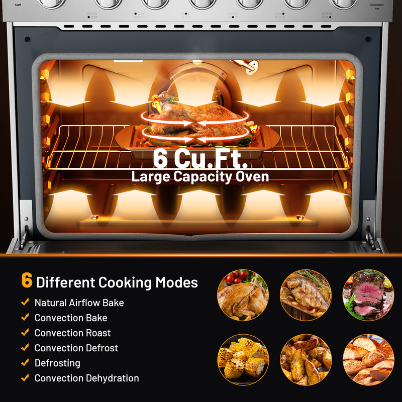 Professional Natural Gas Range With HighPowered Burners And Oven Freestanding Dual Fuel Stove For H 1