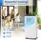 8,000/10,000 BTU Portable Air Conditioner – 3-in-1 Floor AC Unit with Fan & Dehumidifier for Rooms Up to 250 Sq.Ft