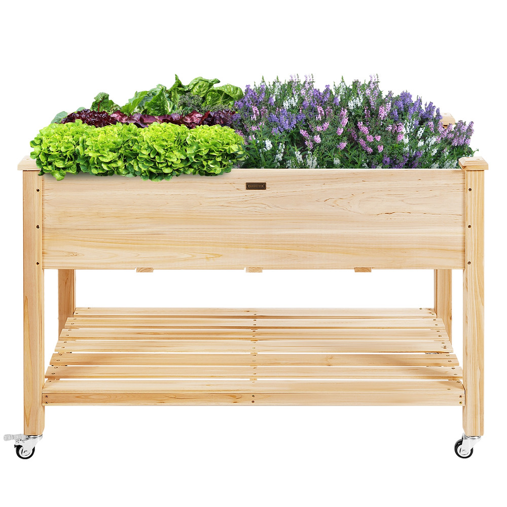 Wood Elevated Planter Bed with Lockable Wheels, Shelf & Liner, Raised Garden Box for Vegetables, Flowers & Herbs