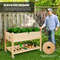 Wood Elevated Planter Bed with Lockable Wheels, Shelf & Liner, Raised Garden Box for Vegetables, Flowers & Herbs