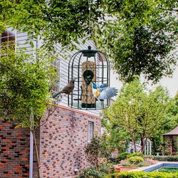 squirrel-proof caged tube wild bird feeder, outdoor metal seed guard & deterrent